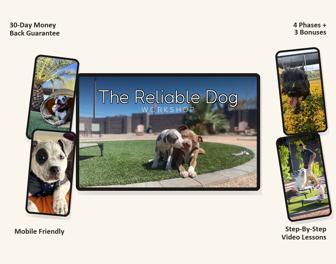 The Reliable Dog Workshop course preview: a tablet showing two pit-mix dogs nuzzling on the Balancing Paws training turf with the title 'The Reliable Dog Workshop' overlaid, surrounded by four floating phones each showing a different lesson scene, with corner callouts for 30-Day Money Back Guarantee, 4 Phases plus 3 Bonuses, Mobile Friendly, and Step-By-Step Video Lessons